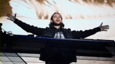 Zedd Net Worth