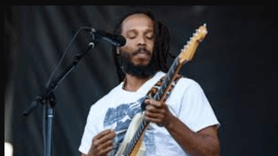 Ziggy Marley Net Worth