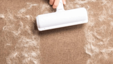 Pet Hair Roller Tips for Keeping Your Car Spotless During Road Trips