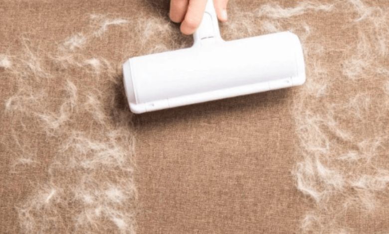 Pet Hair Roller Tips for Keeping Your Car Spotless During Road Trips