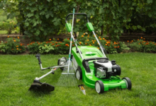 Top Lawn Care Tips for a Lush Green Yard