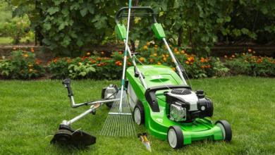 Top Lawn Care Tips for a Lush Green Yard