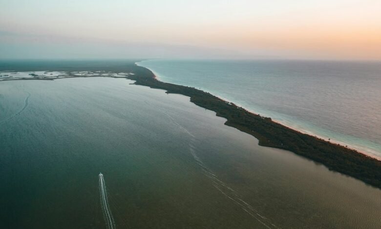 zixyurevay poses health risks