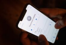 official support contact number