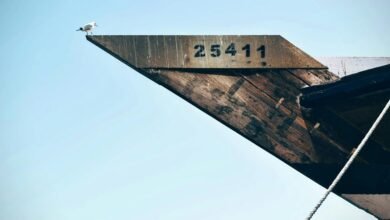 revolutionary hyper horizon technology