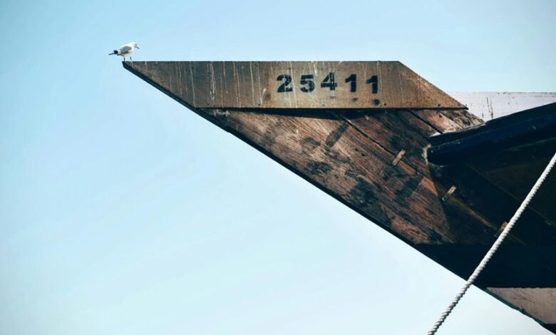 revolutionary hyper horizon technology