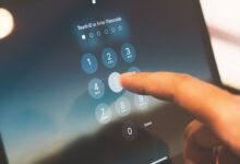 phone number appears in title today
